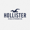 Logo Hollister